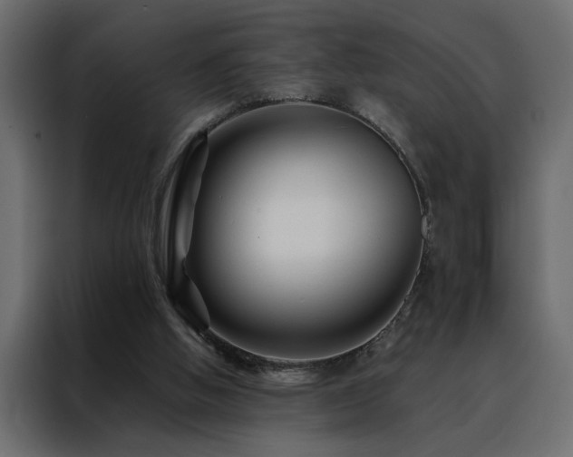 X0000088460058200705221351