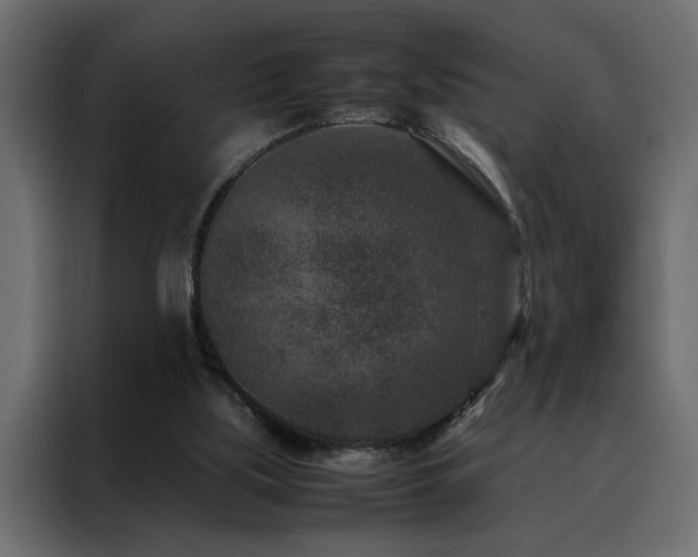 X0000088460059200705221351