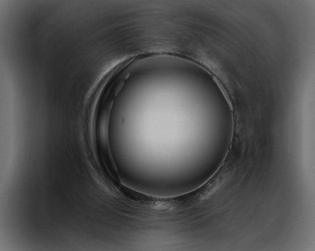 X0000088460060200705221351