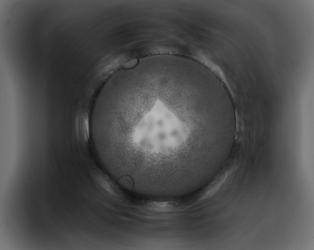 X0000088460061200705221351