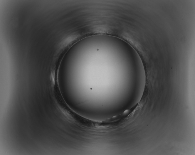 X0000088460062200705221351