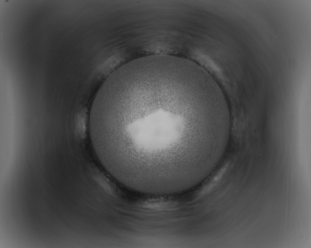 X0000088460065200705221351