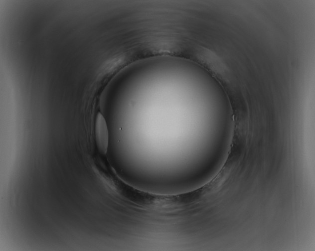 X0000088460070200705221351