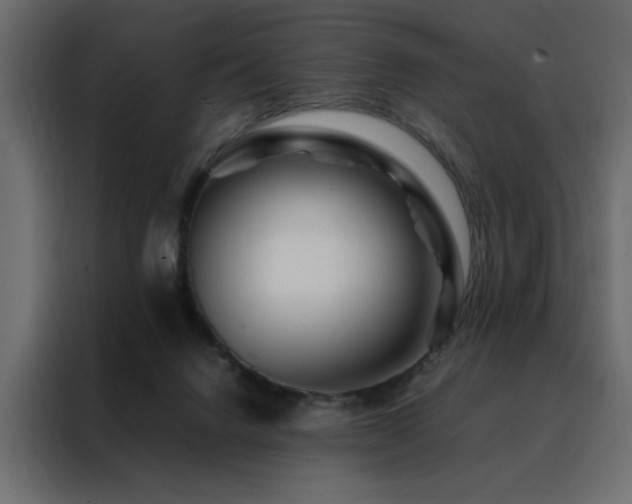X0000088460072200705221351