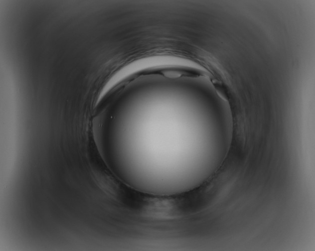 X0000088460073200705221351