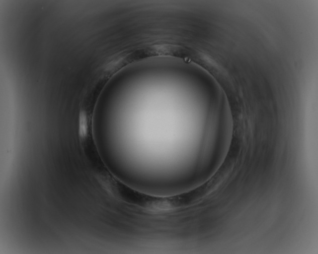 X0000088460075200705221351