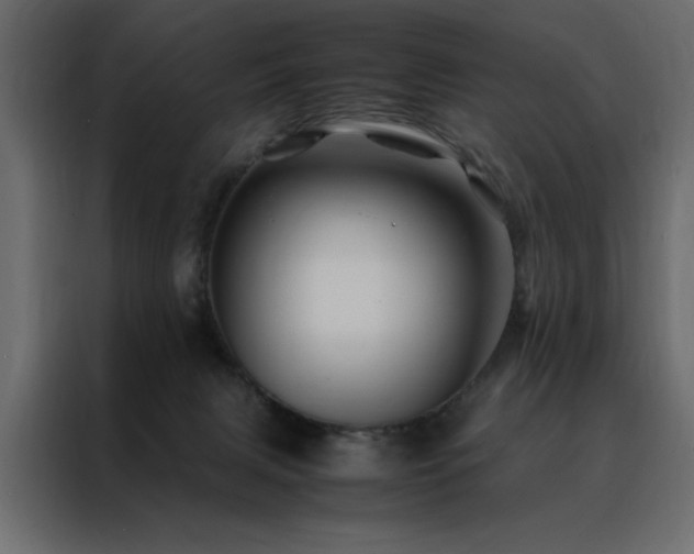 X0000088460079200705221351