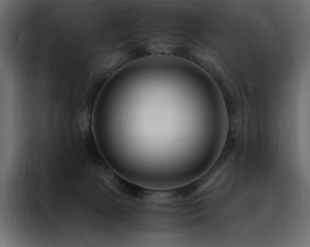 X0000088460081200705221351