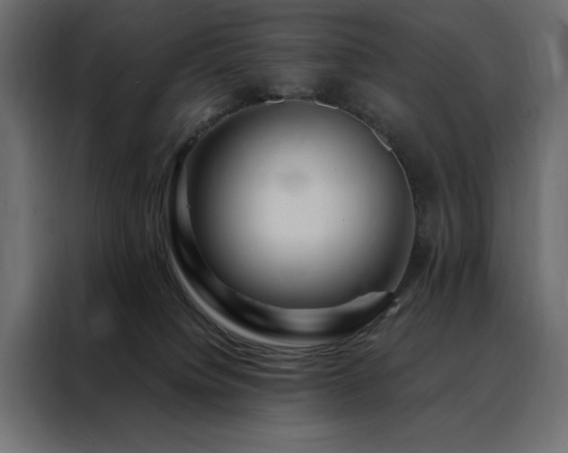 X0000088460084200705221351