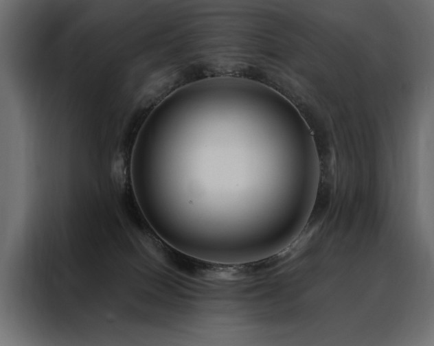 X0000088460086200705221351