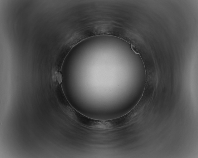 X0000088460087200705221351