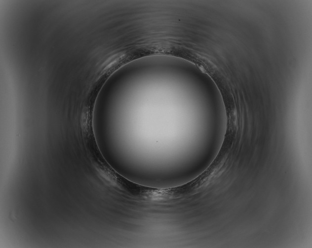 X0000088460092200705221351
