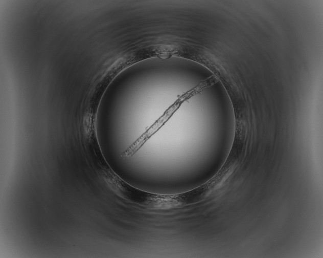 X0000088460093200705221351