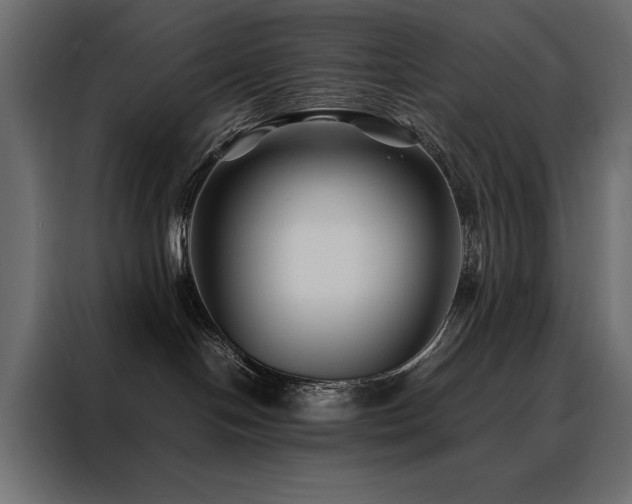 X0000088460094200705221351