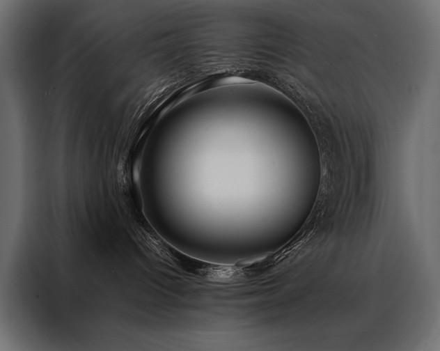 X0000088460096200705221351