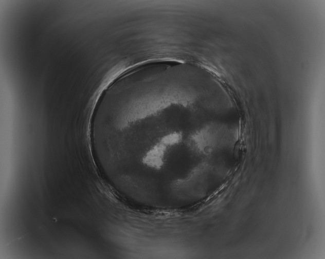X0000088460099200705221351
