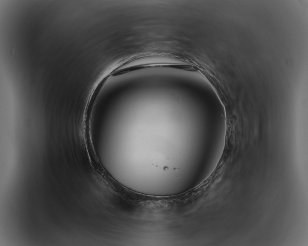 X0000088460100200705221351