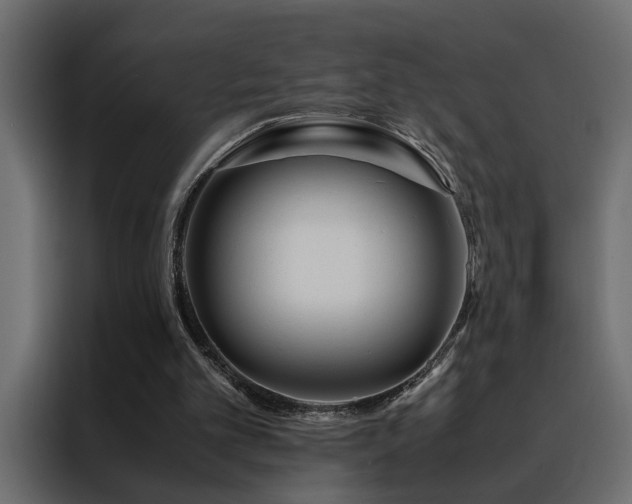 X0000088460101200705221351