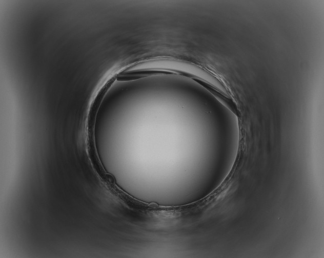 X0000088460102200705221351