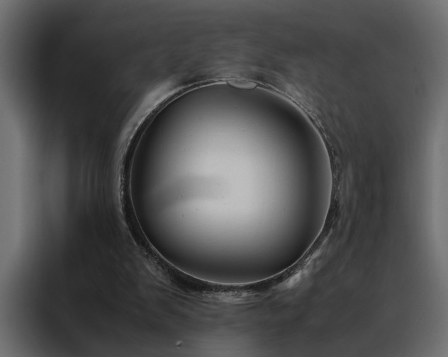 X0000088460103200705221351