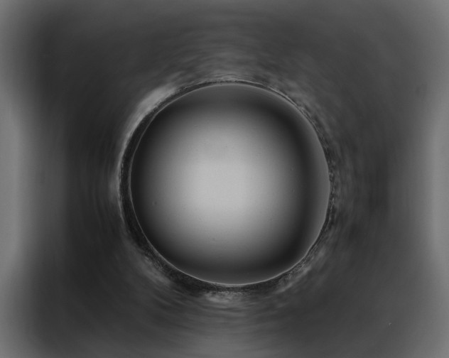 X0000088460104200705221351