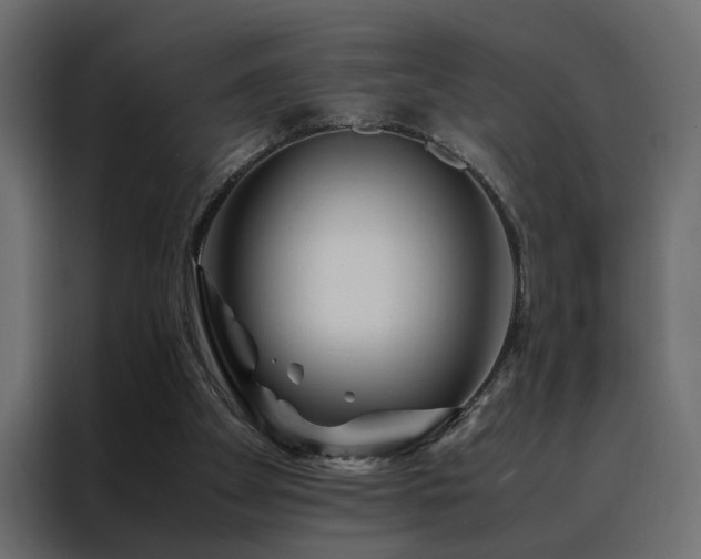 X0000088460105200705221350