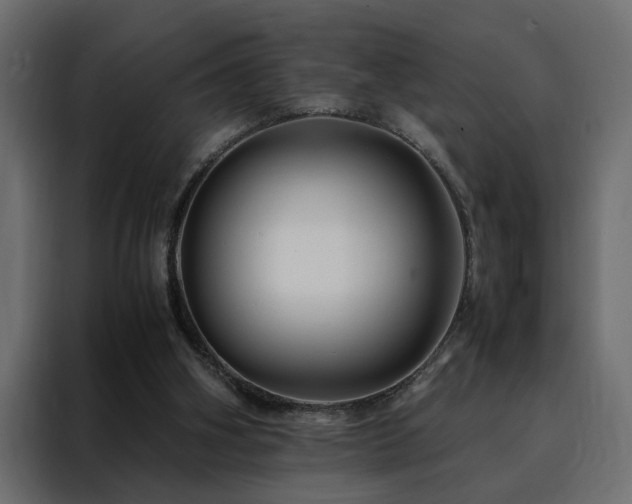 X0000088460106200705221350