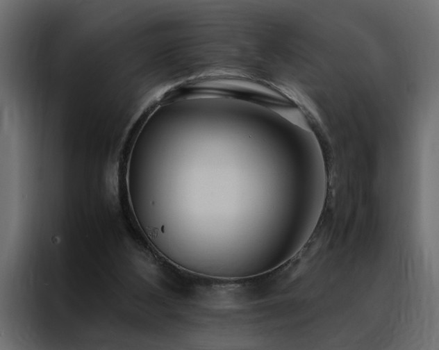 X0000088460108200705221350