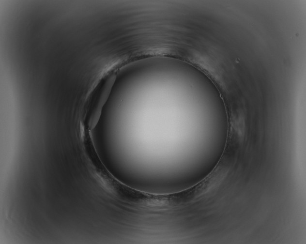 X0000088460110200705221350