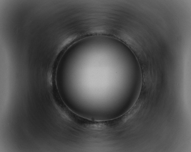 X0000088460112200705221350