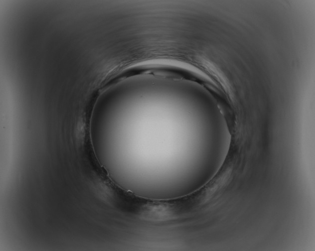 X0000088460113200705221350