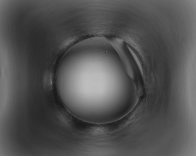 X0000088460115200705221350