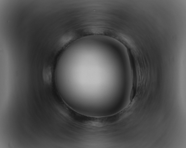 X0000088460120200705221350