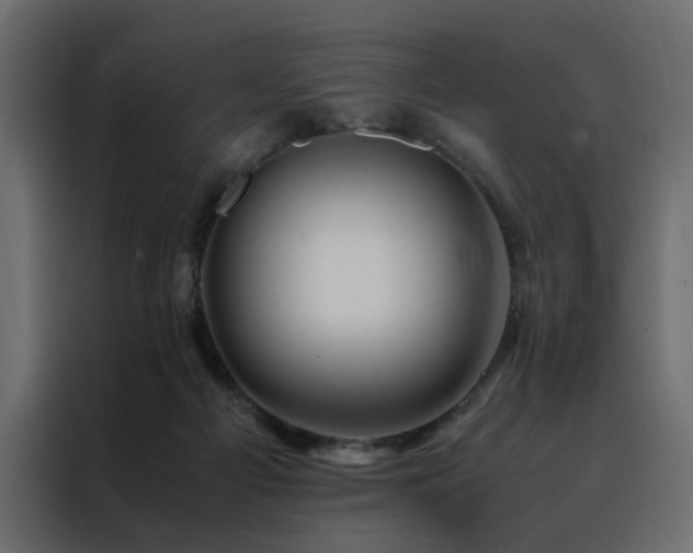X0000088460121200705221350