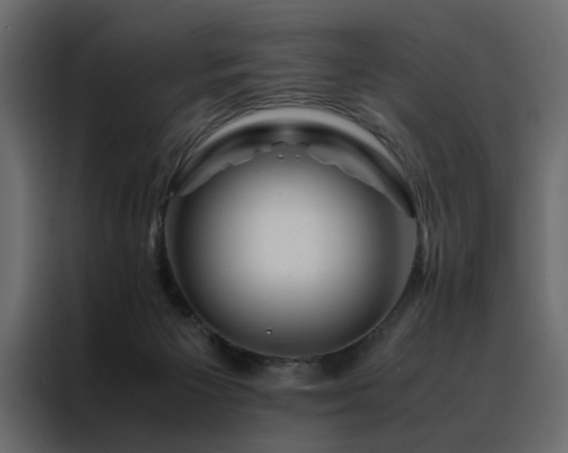 X0000088460125200705221350