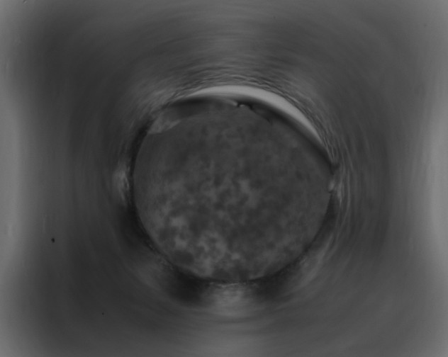X0000088460127200705221350