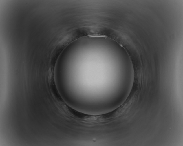 X0000088460129200705221350