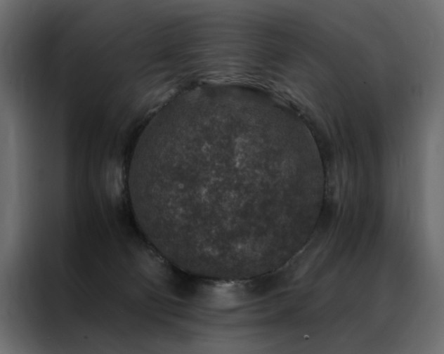 X0000088460130200705221350