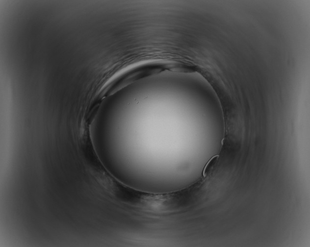 X0000088460131200705221350