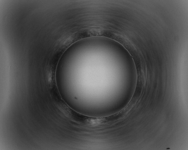X0000088460134200705221350