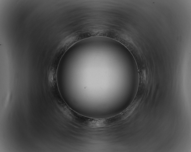 X0000088460138200705221350