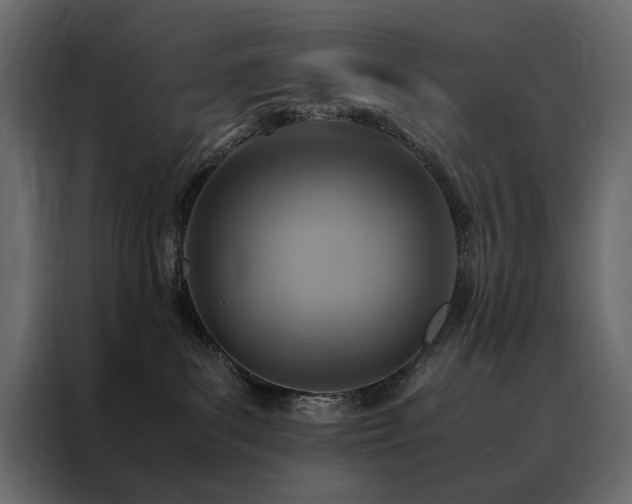 X0000088460139200705221350