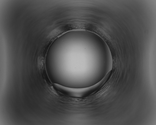 X0000088460141200705221350