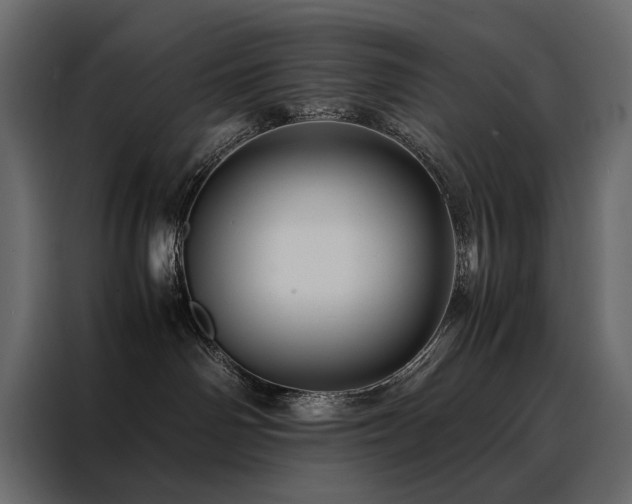 X0000088460142200705221350