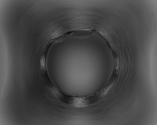 X0000088460143200705221350