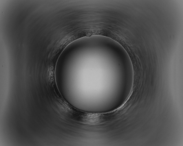 X0000088460144200705221350