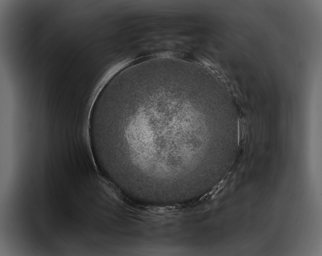 X0000088460147200705221349