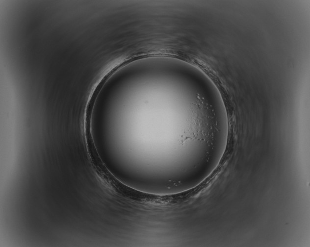 X0000088460148200705221349