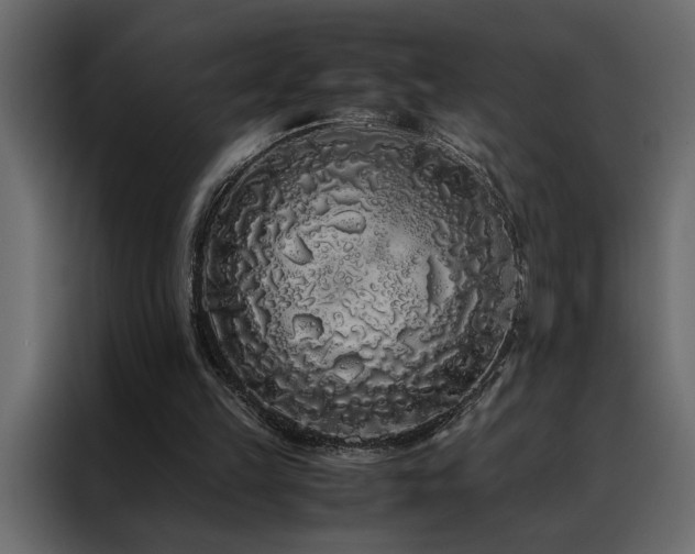 X0000088460149200705221349