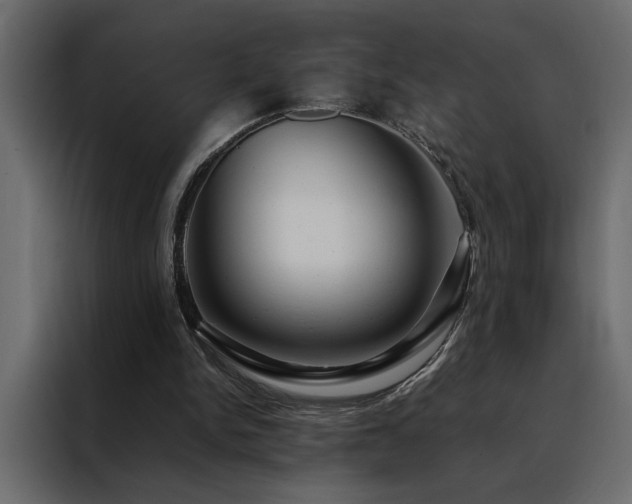 X0000088460150200705221349